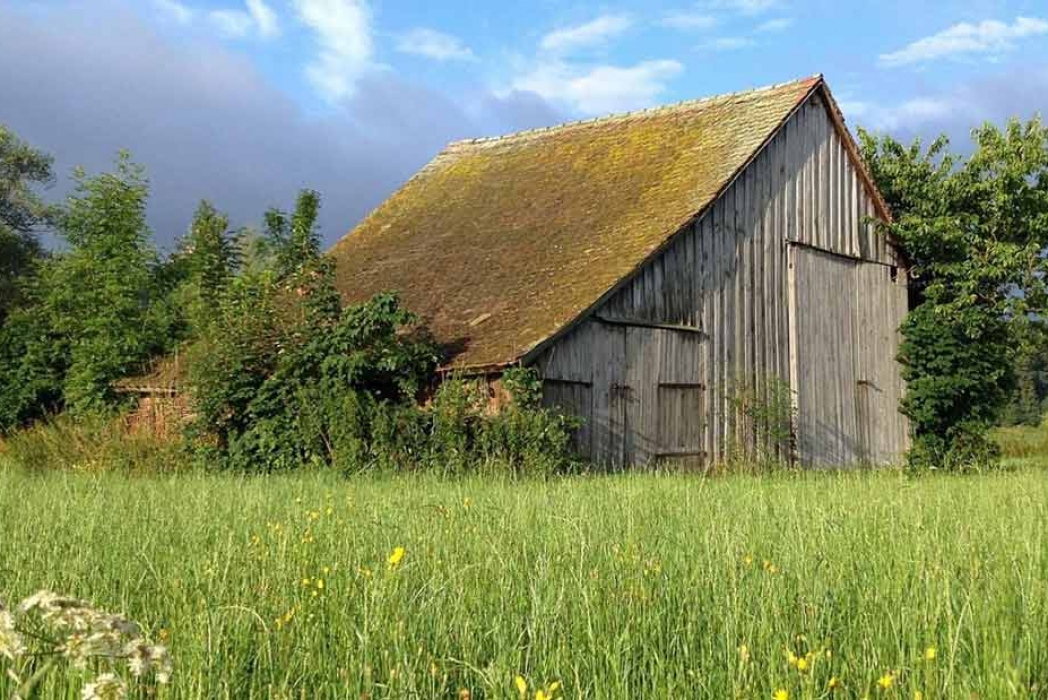 Blog Harrison Appraisals Antiques & Estate Appraisals